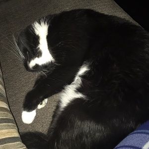 Meet your Posher, Joseline